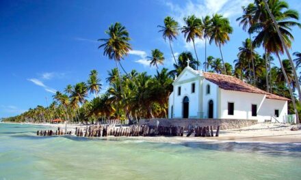 Golden Coast of Pernambuco: The Land of Coconut Trees
