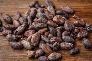 cacao bean 2522918 1280