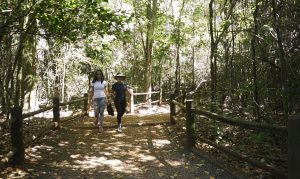 turistas e moradores fazem trilhas no parque nacional de brasilia
