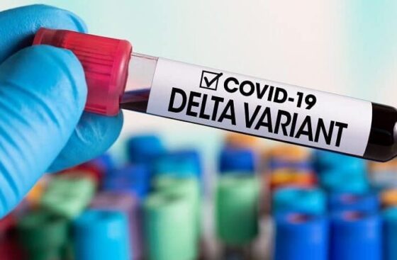variante Delta 1000x450 1 e1756432862679