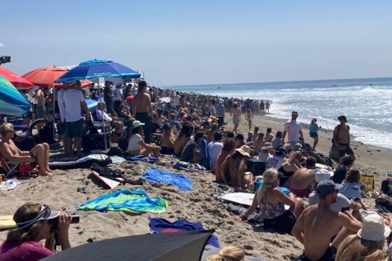 Centenas de brasileiros foram à praia praia de Lower Trestles assistir à final