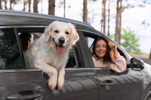 close up people with dog in car