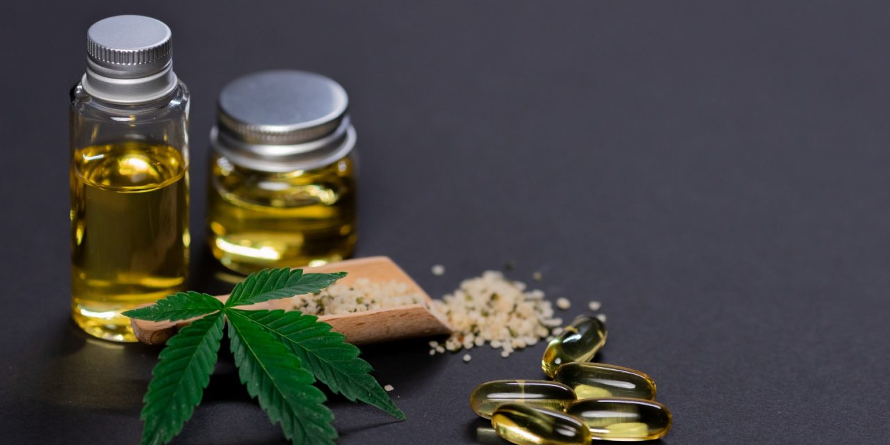 Compostos de Cannabis Sativa Podem Prevenir  a Covid-19, Revela Estudo