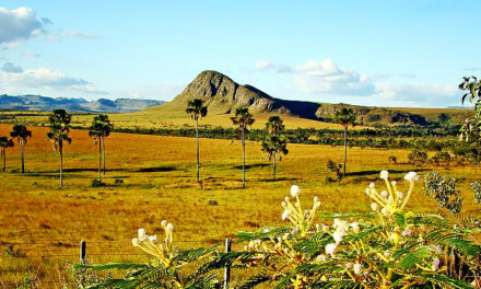 CHAPADA DOS VEADEIROS: ECOTOURISM IN THE HIDDEN PARADISE IN THE CERRADO OF GOIÁS STATE, BRAZIL