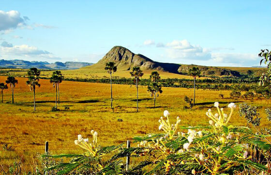 Vale do maytrea e1730245122514