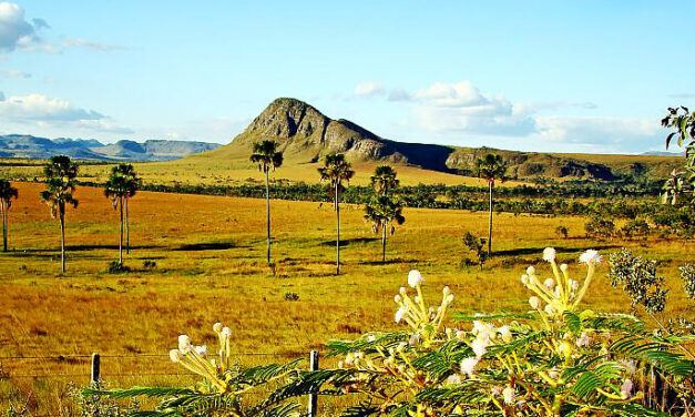 CHAPADA DOS VEADEIROS: ECOTOURISM IN THE HIDDEN PARADISE IN THE CERRADO OF GOIÁS STATE, BRAZIL