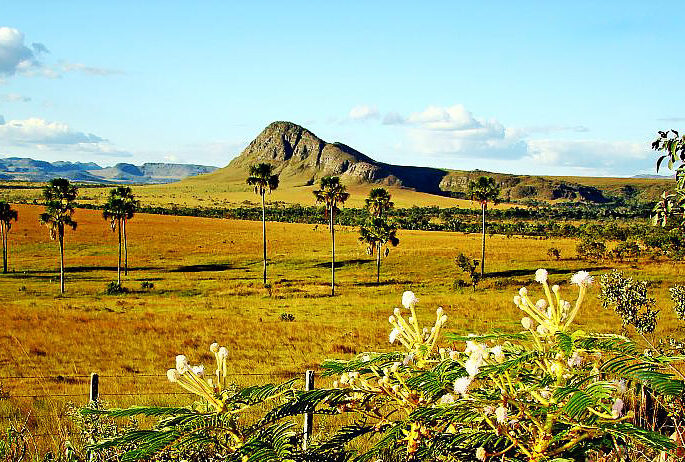 CHAPADA DOS VEADEIROS: ECOTOURISM IN THE HIDDEN PARADISE IN THE CERRADO OF GOIÁS STATE, BRAZIL
