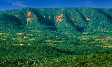 Chapada do Araripe: Cultural Riches and Archeological Discovery Amidst the Backcountry in the Northeast of Brazil