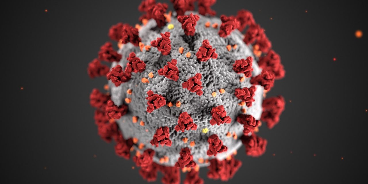 Nova Variante do Coronavírus, a Deltacron, Chega aos EUA e Brasil