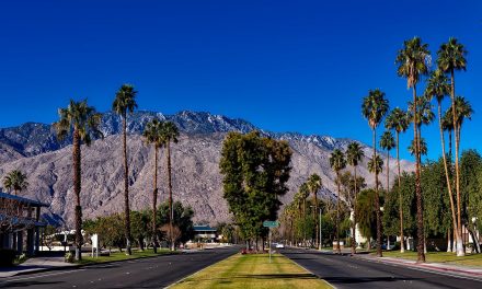Entre Hollywood e o Deserto Californiano: a Bela Palm Springs