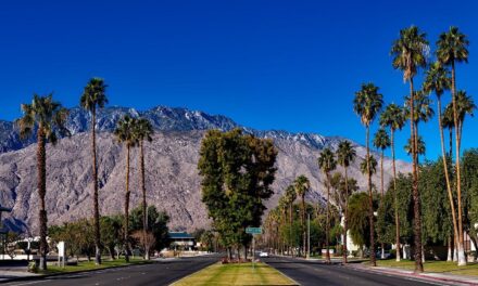 Entre Hollywood e o Deserto Californiano: a Bela Palm Springs