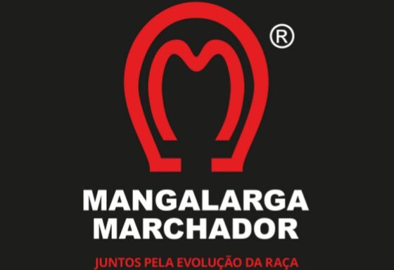 THE MANGALARGA MARCHADOR: BRAZIL’S NATIONAL TREASURE AND ONE OF THE WORLD’S SMOOTHEST RIDING HORSES 3 Enquanto o Brasil tem mais de 250 mil Marchadores, menos de 200 existem na América do Norte