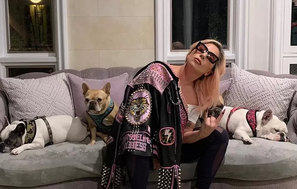 INDIVÍDUO QUE ATIROU NO PASSEADOR DE CACHORROS DE LADY GAGA PEGA PENA DE  21 ANOS