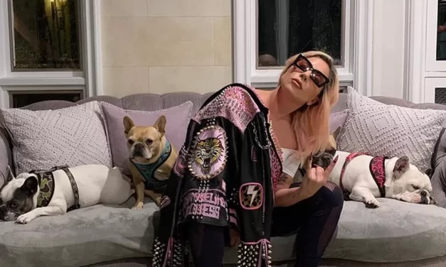 INDIVÍDUO QUE ATIROU NO PASSEADOR DE CACHORROS DE LADY GAGA PEGA PENA DE  21 ANOS