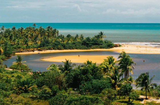 caraiva brasil e1749600527358
