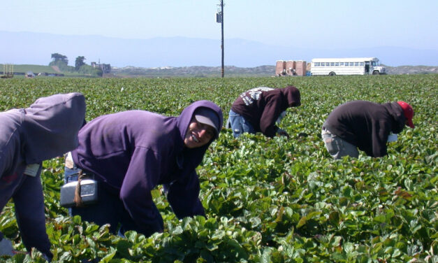 LEGISLADORES DA CALIFÓRNIA BUSCAM APROVAR LEI QUE CONCEDERIA BENEFÍCIOS DE DESEMPREGO A IMIGRANTES INDOCUMENTADOS NA CALIFÓRNIA