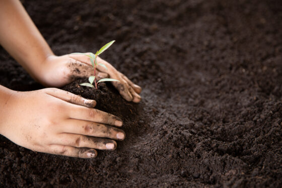 Como os quatro elementos podem ajudar a alcançar equilíbrio espiritual e bem-estar 3 A terra nos sustenta, nos ancora e lembra que segurança e confiança começam pela base que construímos dentro de nós.