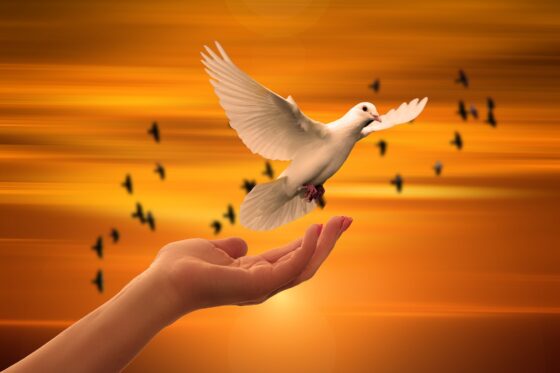 Image Spirituality Brazilians in general are people with faith and hope
