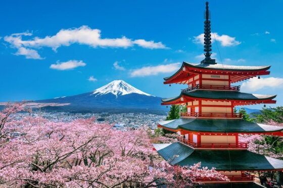 img freepik com cherry blossoms spring chureito pagoda fuji mountain japan 335224 213