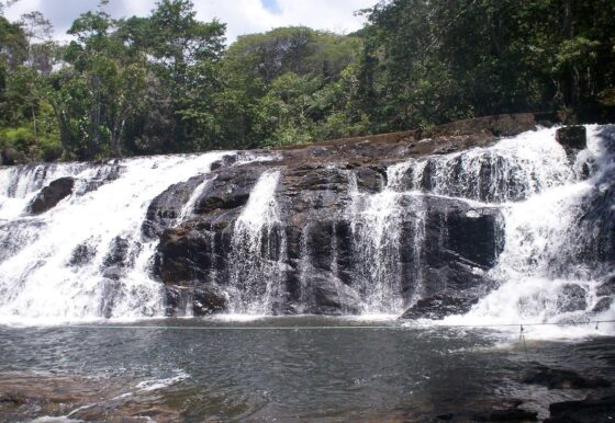 Image Brazil Bahia Itacare Waterfall e1701386416809