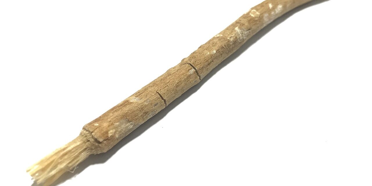 MISWAK: ENTENDA A “ESCOVA DE DENTES” NATURAL QUE VIRALIZOU NO TIK TOK