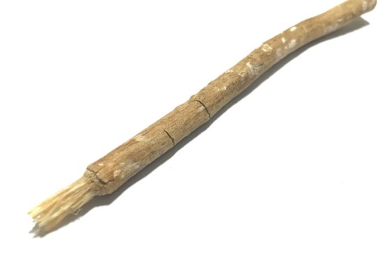 miswak 5236923 1280 e1728774292193