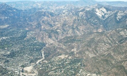 OS DOIS LADOS DA MOEDA DA CATÁSTROFE DOS INCÊNDIOS EM LOS ANGELES