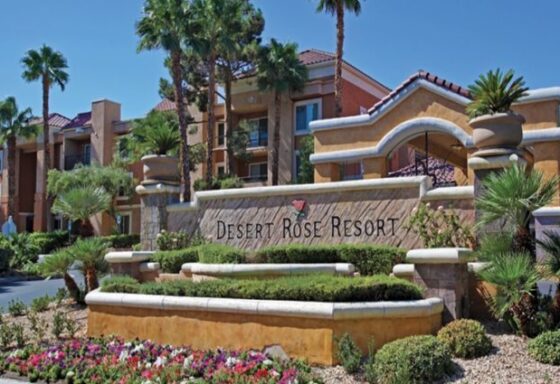 desert rose resort e1736383528149