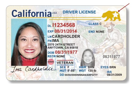 Image Documento de Real ID simulado e de divulgacao do DMV da California