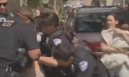 ICE USA FAMÍLIA COMO “ISCA” PARA PRENDER BRASILEIRA SEM STATUS LEGAL NOS EUA