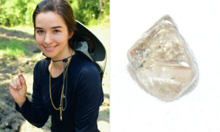 Caça ao Tesouro Real: Noiva Acha Diamante de 2,3 Quilates em Parque dos Estados Unidos