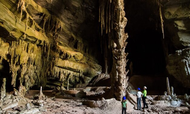 DISCOVER THE CAVERNAS DO PERUAÇU NATIONAL PARK: A HIDDEN NATURAL TREASURE IN BRAZIL’S MINAS GERAIS