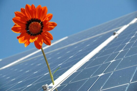 Brazil is a Global Leader in Renewable Energy