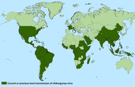 CASO INCOMUM DO VÍRUS CHIKUNGUNYA É REGISTRADO EM NOVA YORK, NOS ESTADOS UNIDOS 2 O verde escuro indicava países com transmissão local em setembro de 2019, segundo dados do CDC dos EUA