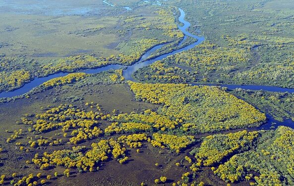 BEYOND BEACHES: THE PANTANAL, BRAZIL’S LIVING SANCTUARY