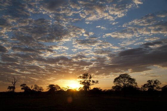BEYOND BEACHES: THE PANTANAL, BRAZIL’S LIVING SANCTUARY 2 The Pantanal is suitable for families, couples, and solo adventurers.