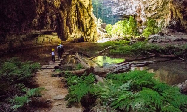 CONHEÇA O PARQUE NACIONAL CAVERNAS DO PERUAÇU, UMA JOIA NATURAL EM MINAS GERAIS.