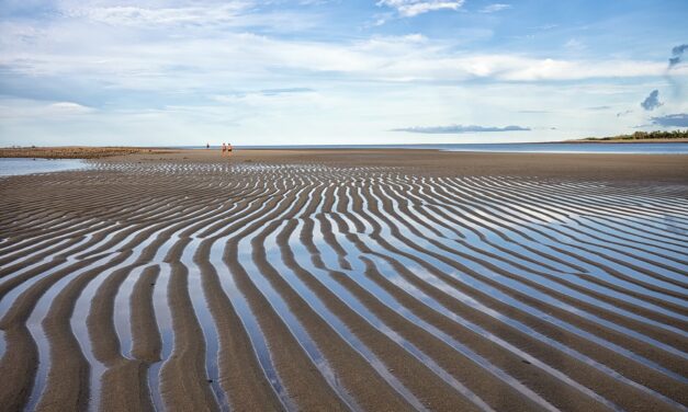 CONHEÇA CAJUEIRO DA PRAIA, O DESTINO PIAUIENSE QUE SERÁ TENDÊNCIA EM 2026
