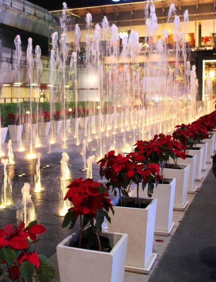 FREE THINGS TO DO IN LOS ANGELES THIS WEEK: HOLIDAY EVENTS, MARKETS & FESTIVAL OF LIGHTS (2025) 3 The holiday season brings festive, family-friendly events across Los Angeles.