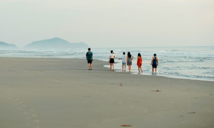 CÍRCULO DE INFLUÊNCIAS: COMO AS PESSOAS AO SEU REDOR MOLDAM SUA SAÚDE, FELICIDADE E FUTURO